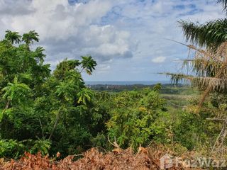 For sale land in Thalang, Phuket