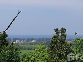 For sale land in Thalang, Phuket