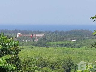 For sale land in Thalang, Phuket