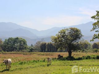 ขาย ที่ดิน ใน แม่ริม, เชียงใหม่