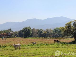 ขาย ที่ดิน ใน แม่ริม, เชียงใหม่