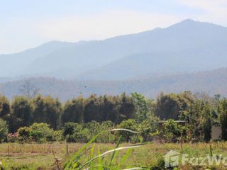 ขาย ที่ดิน ใน แม่ริม, เชียงใหม่