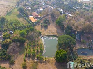 ขาย ที่ดิน ใน แม่ริม, เชียงใหม่