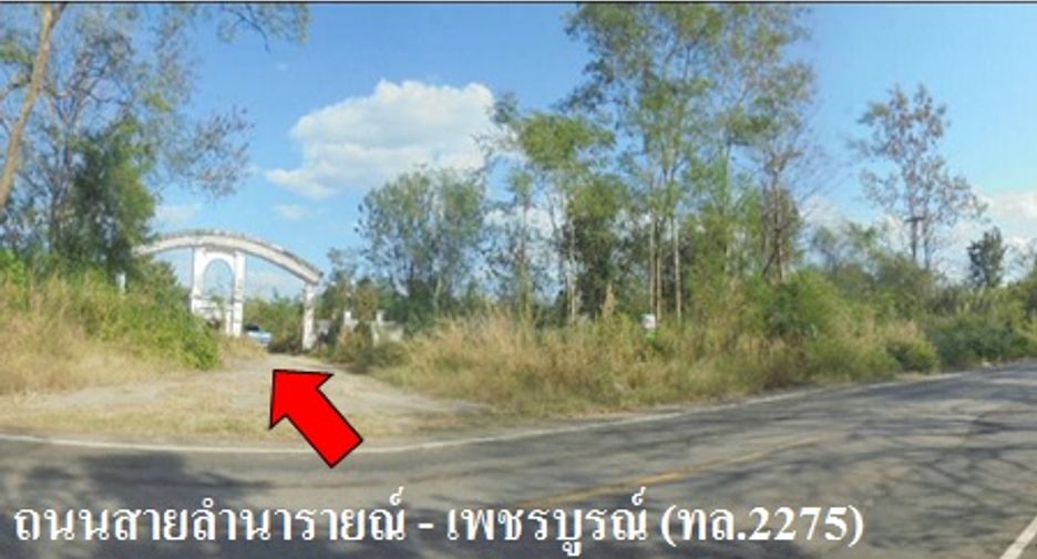 ขาย ที่ดิน ใน หนองไผ่, เพชรบูรณ์