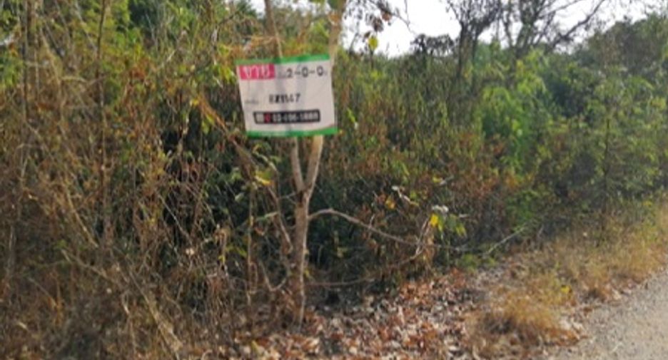 ขาย ที่ดิน ใน หนองไผ่, เพชรบูรณ์