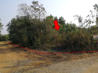 Продажа Участок в Nong Phai, Phetchabun