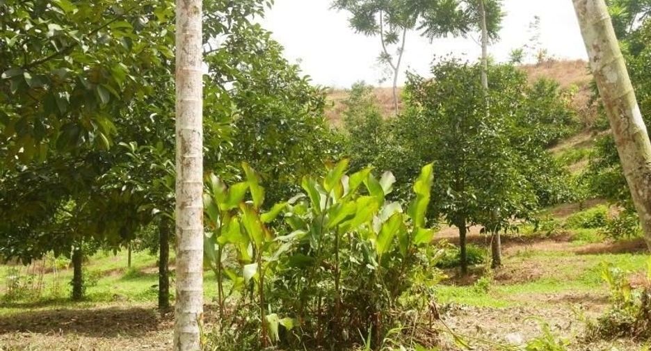 Terreno en venta en Thung Song, Nakhon Si Thammarat