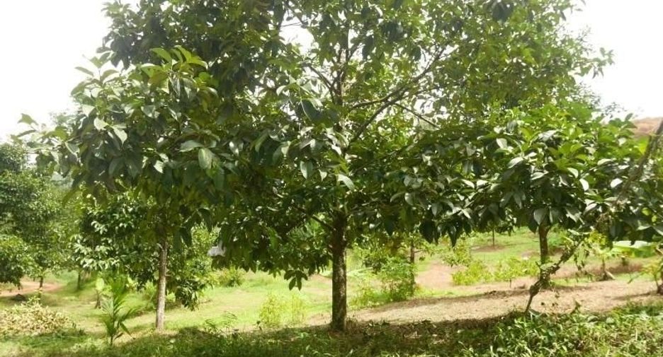 Terreno en venta en Thung Song, Nakhon Si Thammarat