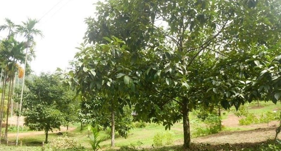 Terreno en venta en Thung Song, Nakhon Si Thammarat