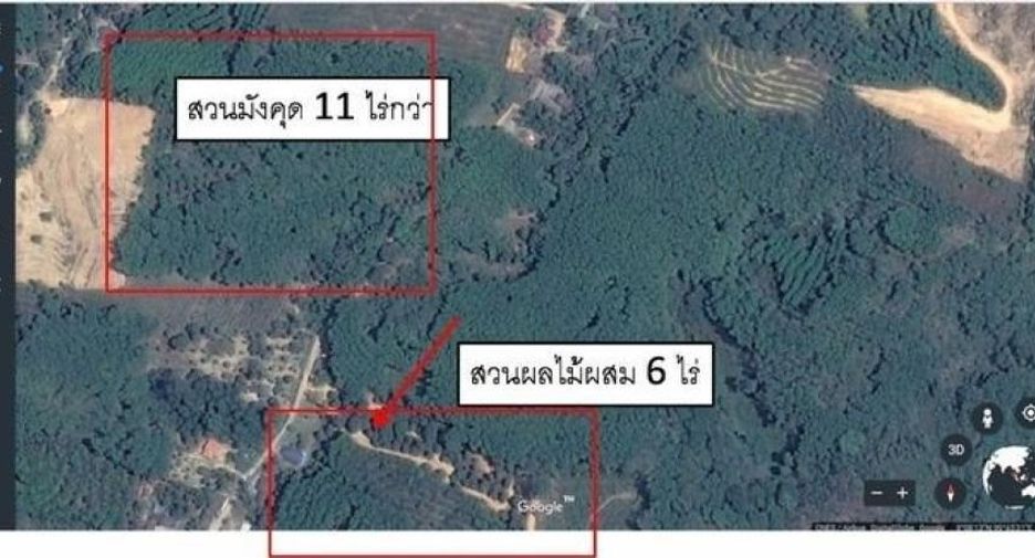 For sale land in Thung Song, Nakhon Si Thammarat