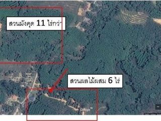 For sale land in Thung Song, Nakhon Si Thammarat