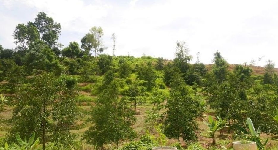 Terreno en venta en Thung Song, Nakhon Si Thammarat