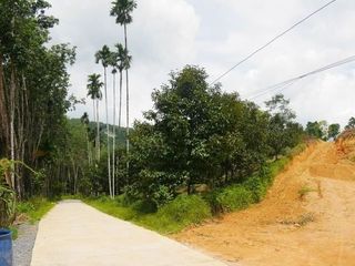 For sale land in Thung Song, Nakhon Si Thammarat