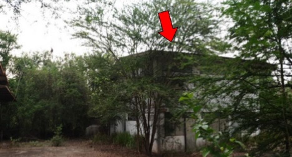 For sale warehouse in Phu Kradueng, Loei