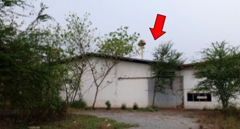 For sale warehouse in Phu Kradueng, Loei