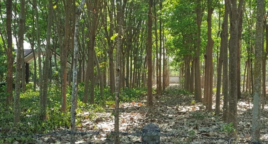 出售 土地 在 Sai Yok, Kanchanaburi