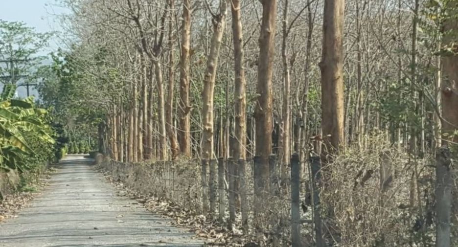 出售 土地 在 Sai Yok, Kanchanaburi