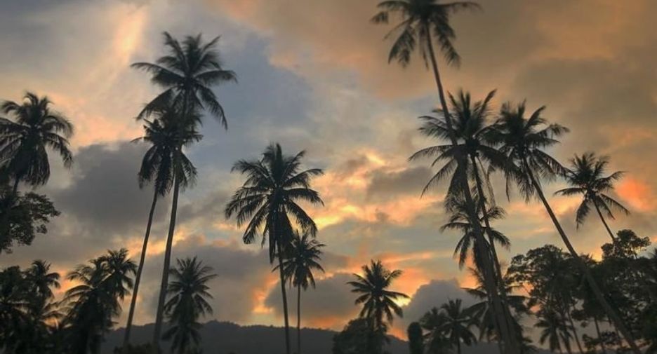 For sale 8 bedrooms retail Space in Ko Samui, Surat Thani