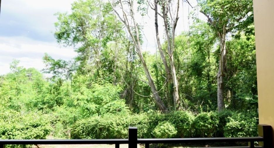 For rent and for sale 4 bedrooms house in Mae Rim, Chiang Mai