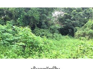 出售 土地 在 Dok Khamtai, Phayao