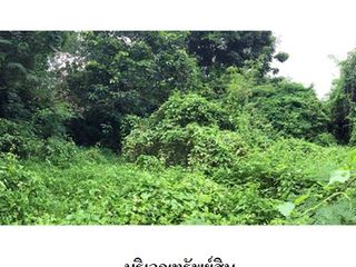 出售 土地 在 Dok Khamtai, Phayao