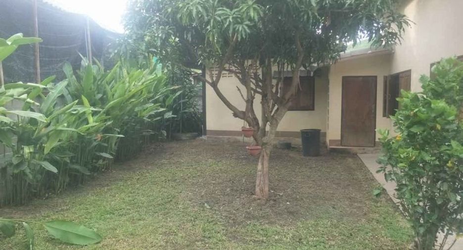 Haus zum Kauf mit 3 Zimmer in Pai, Mae Hong Son