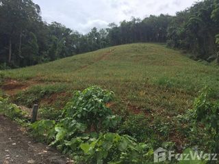 For sale land in Thalang, Phuket