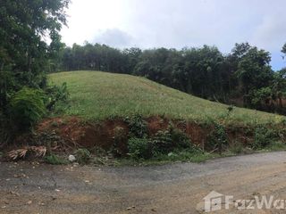 For sale land in Thalang, Phuket