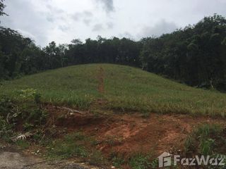 For sale land in Thalang, Phuket