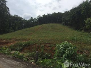 For sale land in Thalang, Phuket