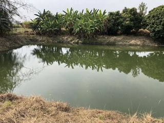 For sale land in Mae Sot, Tak