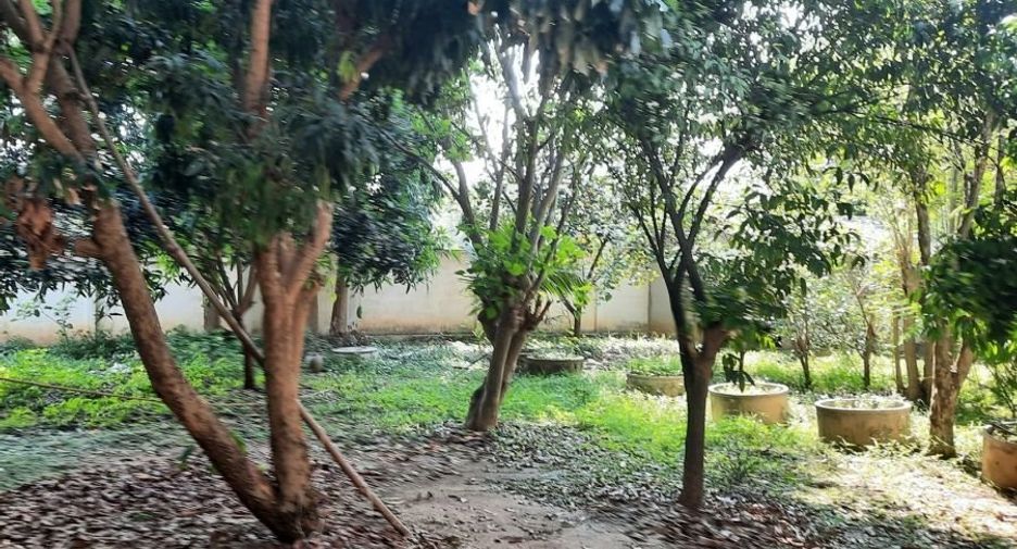 For sale 4 bedrooms house in Mueang Kanchanaburi, Kanchanaburi