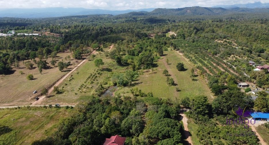 For sale land in Mae Taeng, Chiang Mai