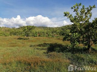 For sale land in Wang Chin, Phrae