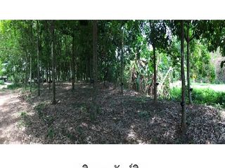 For sale land in Wiang Chai, Chiang Rai