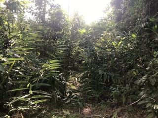 For sale land in Thai Mueang, Phang Nga