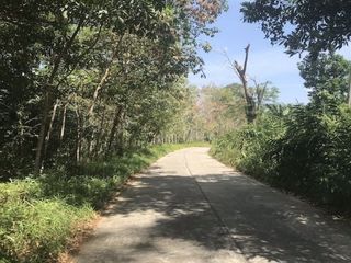 For sale land in Thai Mueang, Phang Nga