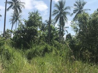 For sale land in Thai Mueang, Phang Nga