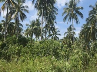 For sale land in Thai Mueang, Phang Nga