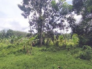 出售 土地 在 Kapho, Pattani