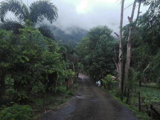 出售 土地 在 Samoeng, Chiang Mai