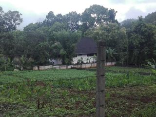出售 土地 在 Samoeng, Chiang Mai