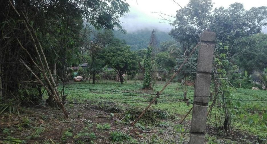 For sale land in Samoeng, Chiang Mai