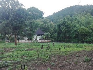 出售 土地 在 Samoeng, Chiang Mai