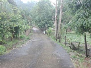 出售 土地 在 Samoeng, Chiang Mai