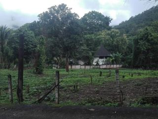 出售 土地 在 Samoeng, Chiang Mai