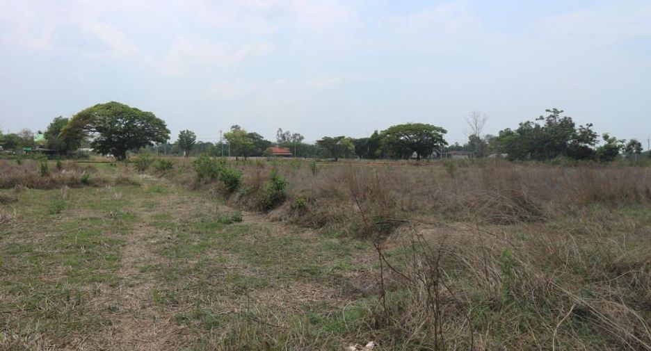 ขาย ที่ดิน ใน เมืองหนองคาย, หนองคาย