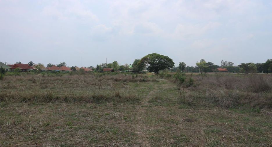 ขาย ที่ดิน ใน เมืองหนองคาย, หนองคาย
