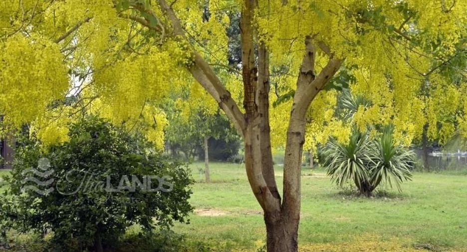 ขาย 6 เตียง บ้านเดี่ยว ใน เมืองกาญจนบุรี, กาญจนบุรี
