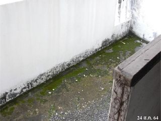 出售 公寓 公寓式住宅 在 Don Mueang, 曼谷